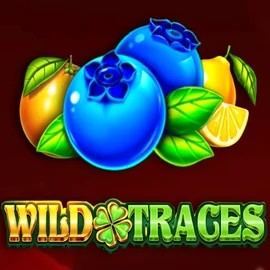 Wild Traces online game logo by Amusnet Interactive on bigcasinologin.it